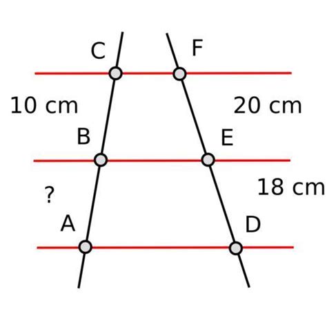 Free Images - exercise 4 thales theorem