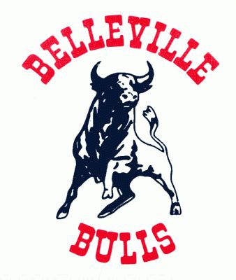 Belleville Bulls hockey logo from 1979-80 at Hockeydb.com