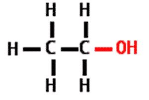 Quia - AP Chapter 4 - Carbon and the Molecular Diversity of Life (detailed)