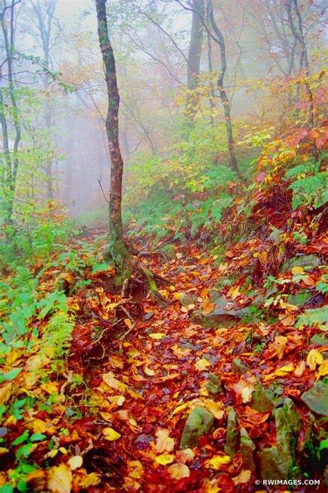 Framed Photo Print of APPALACHIAN TRAIL SMOKY MOUNTAINS FALL COLOR ...