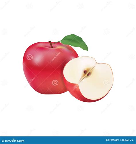 Apple and Slice Vector Drawing Stock Vector - Illustration of fresh ...