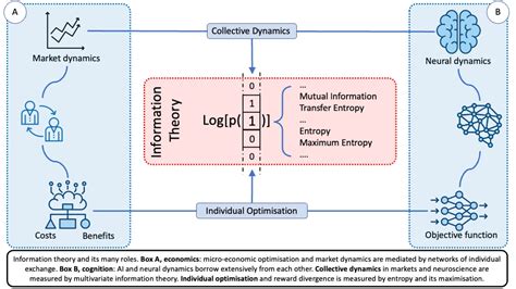 Entropy | Free Full-Text | Information Theory for Agents in Artificial ...