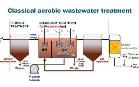 Conventional activated sludge (CAS) process | Sludge Processing