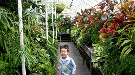 Seattle’s Volunteer Park Conservatory: A Warm and Wonderful Escape ...