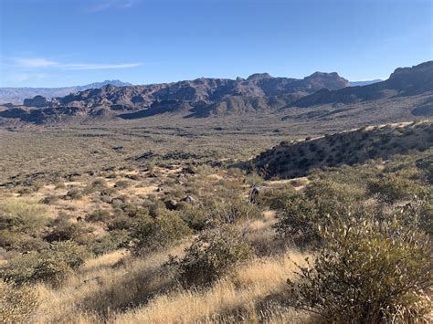 Pass Mountain Trail: Circling the Usery Mountains - Nightborn Travel