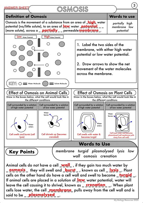 Diffusion and Osmosis Worksheet Gcse Biology Diffusion Osmosis and ...