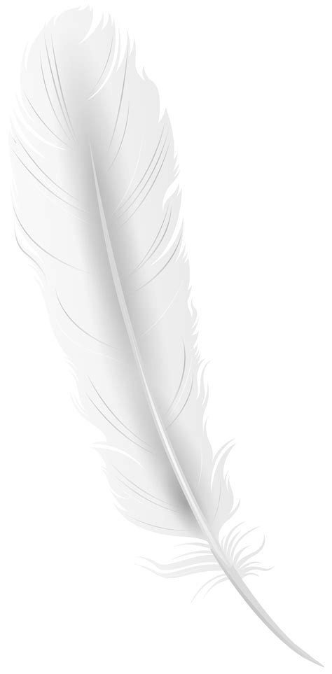 White Feather PNG Clip Art Image | Gallery Yopriceville - High-Quality Images and Transparent ...