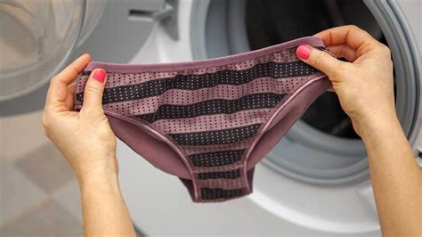 Nearly half of all Americans have worn the same underwear for days, study claims | Fox News