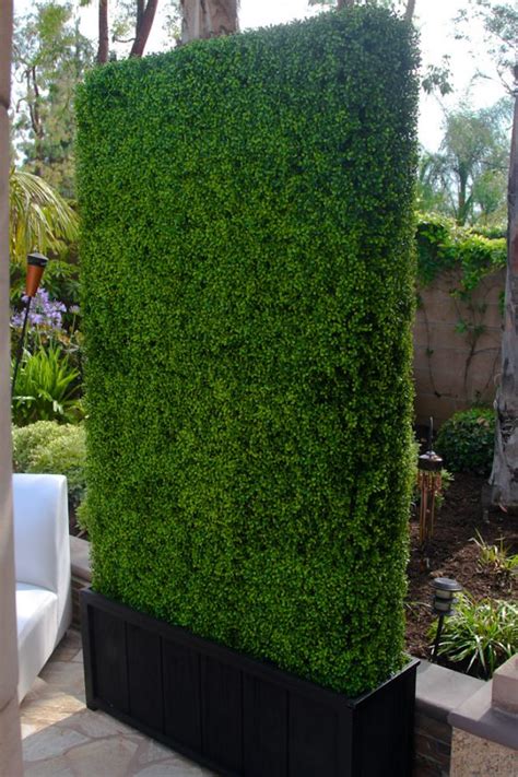 6 Unique Hedge Design Ideas - JimsMowing.com.au