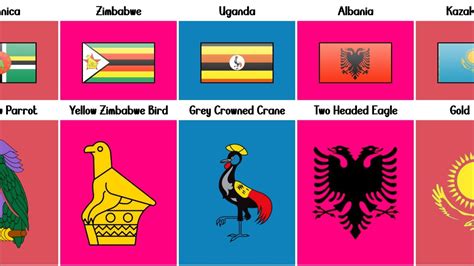 Animals Inside Country Flag of Different Countries | list Country Flags That Feature Animals On ...