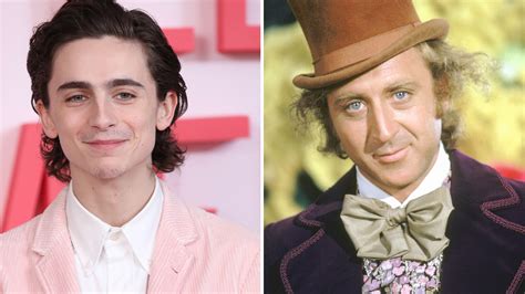 Timothée Chalamet Will Play Willy Wonka in New Movie "Wonka" | Teen Vogue