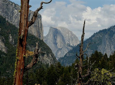 What Yosemite looks like in 2100 with climate change