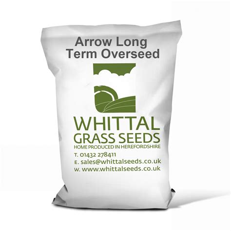 Arrow Long Term Overseed - 5 Year + - Whittal Seeds