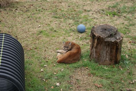 Chattanooga Zoo - Review, Details, and Pictures