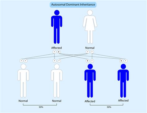 Symptoms Seen in Autosomal Dominant Alport Syndrome Focus of Study