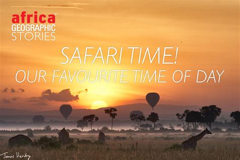 Safari time! Our favourite time of day - Africa Geographic