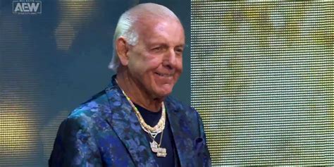 Ric Flair Makes AEW Debut As Special Gift For Sting