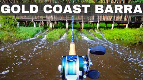 Gold Coast Barra Tactics - Barramundi fishing tips and best lures - YouTube