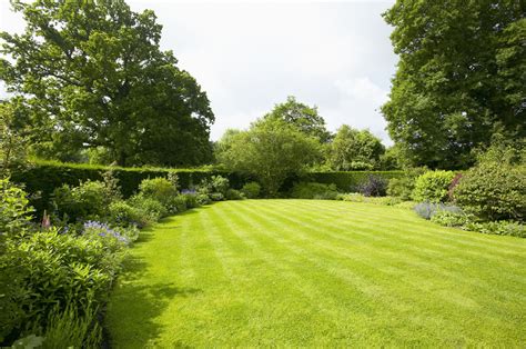 Tips for Growing a Green Lawn