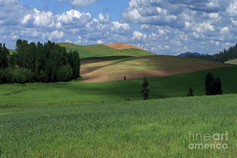 Idaho Fields Photograph by Rick Mann - Pixels