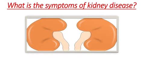 Symptoms of kidney disease ( DOCTOR'S TIPS ) | Kidney disease symptoms, Kidney disease, Disease