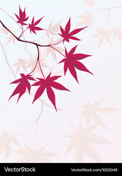 Japanese maple Royalty Free Vector Image - VectorStock