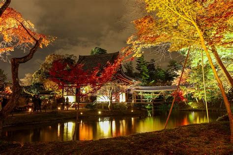 Kodaiji temple at night / Kyoto reflection - Japan | Kyoto temple, Kyoto, Japan