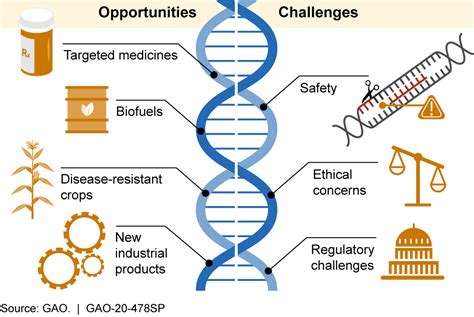 Ethical Issues Of Genetic Modification / Https Www Aclr Com Es Clinical ...