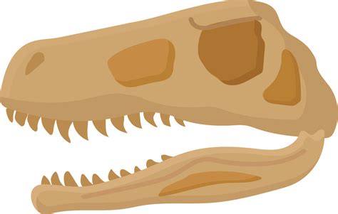 dinosaur bones - Clip Art Library