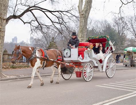 Central Park Carriage Rides in NYC Winter Season 2024