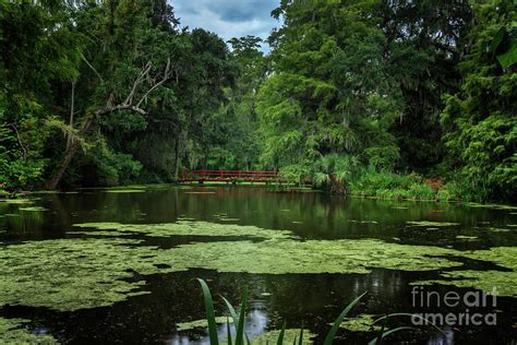 Historic Magnolia Plantation Photograph by Walter Rice | Pixels