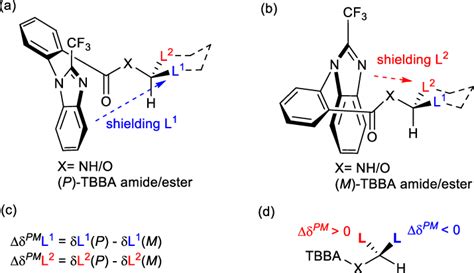 General conformational model for α-chiral primary amines and secondary ...