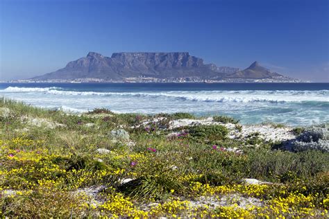 South Africa's Cape Peninsula | Trailfinders