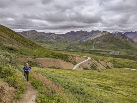 The Best Day Hikes in Denali National Park: A Complete Guide by Region - aliciamarietravels