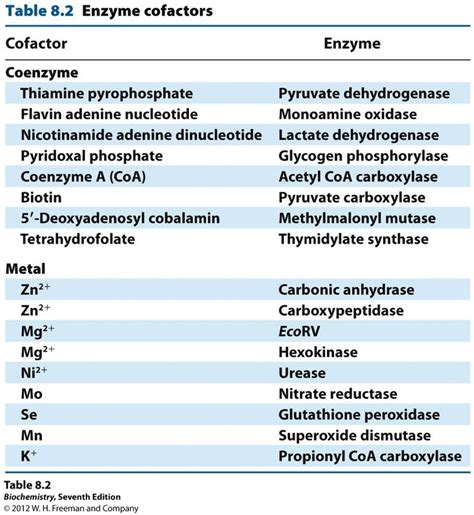 Enzyme cofactors HERE | Biochemistry, Enzymes biochemistry, Biology study