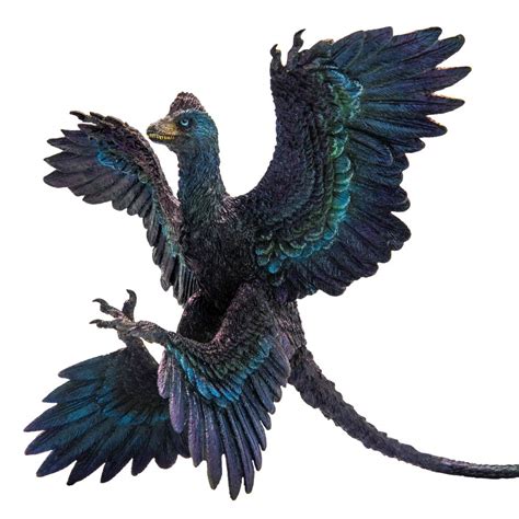 Microraptor Size