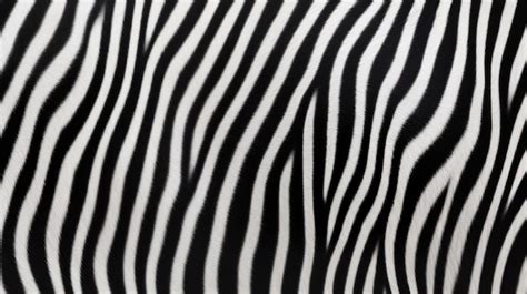 Premium AI Image | Zebra Stripes Pattern