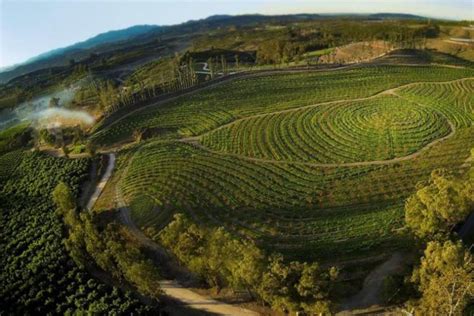 “The Biggest Little Farm”: A bumpy and beautiful road to farming for a healthier planet | The ...