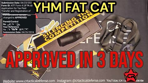 YHM FAT CAT APPROVED IN 3 DAYS - YouTube