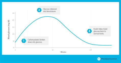 The Truth about Carbs, Insulin, and Weight Loss | Precision Nutrition