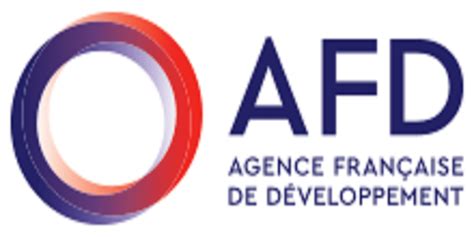 French Development Agency (AFD) Digital Challenge for African Countries 2023: (Deadline 23 ...