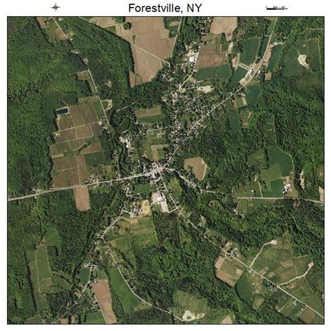 Aerial Photography Map of Forestville, NY New York