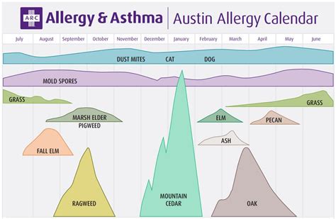 Oak pollen allergy season peaking now : r/Austin