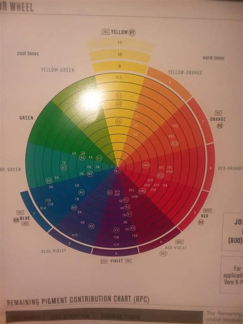 joico color wheel | Capelli