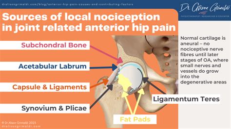 Anterior Hip Pain: Causes and contributing factors | Find out more