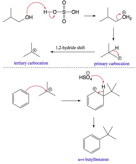 What is the major product of the Friedel-Crafts alkylation of benzene with isobutyl alcohol and ...