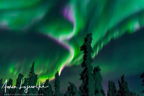 tours - Fairbanks Aurora Tours - Northern Lights Tours in Alaska