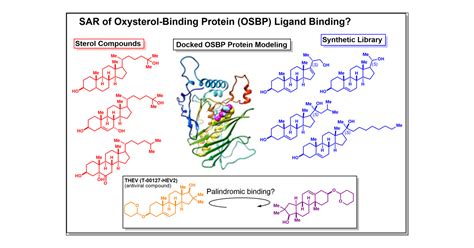 Structure–Activity Relationships of Ligand Binding to Oxysterol-Binding ...