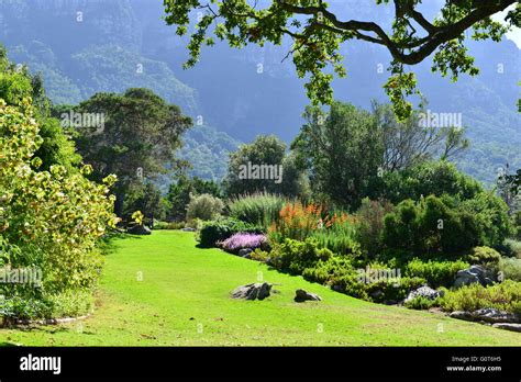 Botanical gardens at the Western Cape of South Africa Stock Photo - Alamy