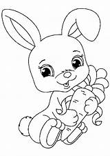 Baby Bunny Rabbit Coloring Pages sketch template